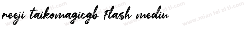 reeji taikomagicgb flash medium字体转换